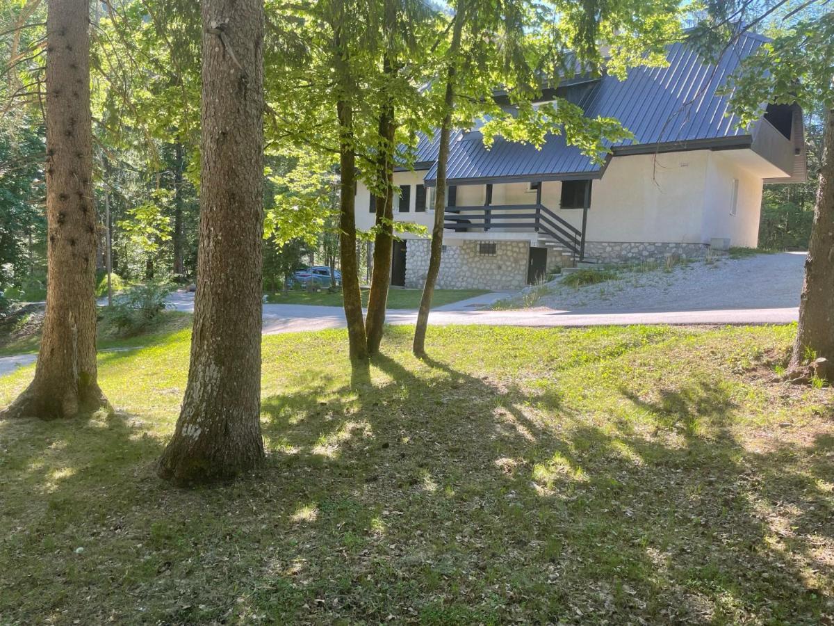Martinov Dom Apartman Kranjska Gora Kültér fotó
